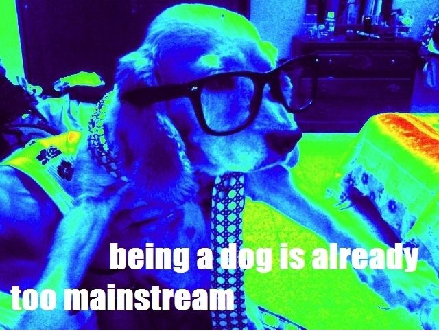 Als ein Hund ist schon zu Mainstream-
