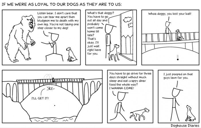 Dogs vs Humans
