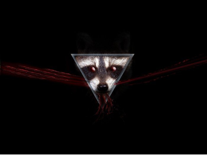The Dark Side of the Raccoon