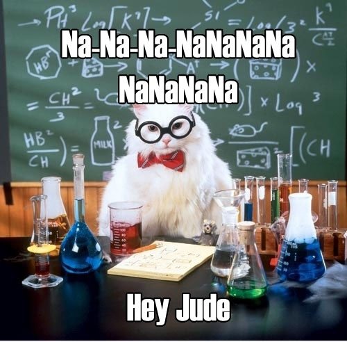 Wissenschaft Cat: Hey Jude