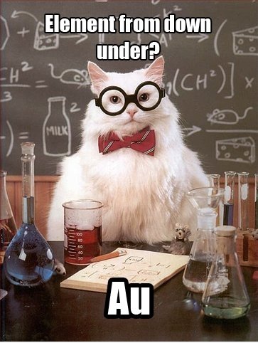 Wissenschaft cat