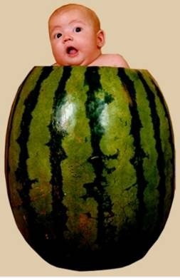 Wer lebt in einer Wassermelone in der Türkei?