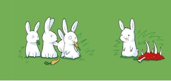 Ein normales Kaninchen ...