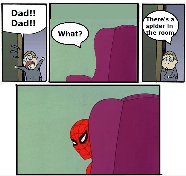 Es gibt eine Spinne im Raum