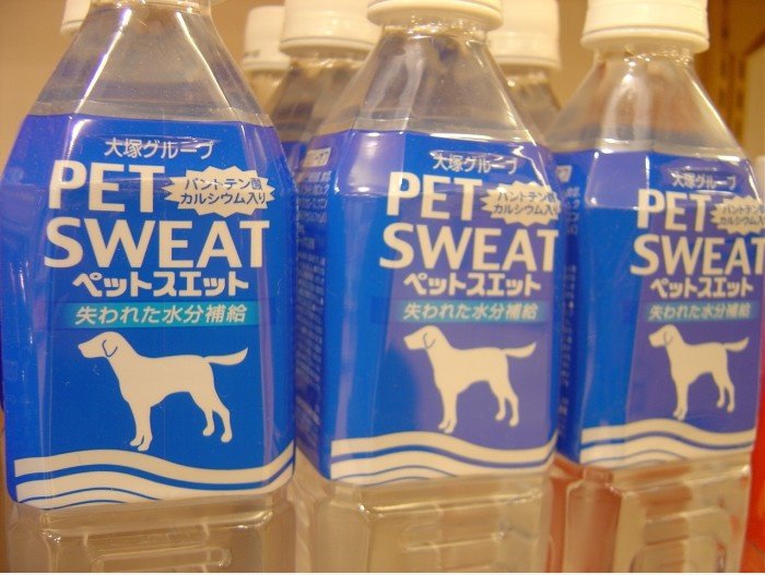 Energy Drink für Haustiere: Pet Sweat