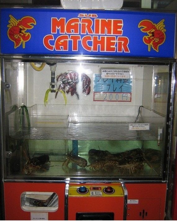 REAL Marine-Catcher