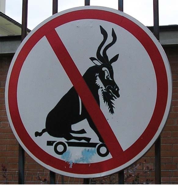 Kein Goat Skateboarding
