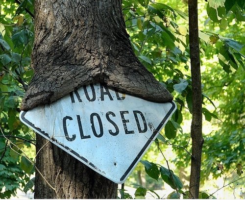 Road Closed Baum