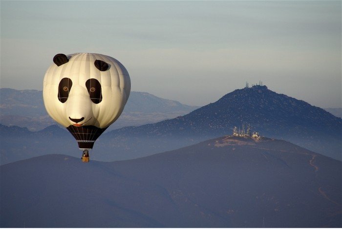 Panda Hot Balloon