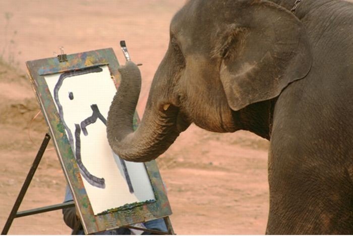 Elefanten Selbstportrait