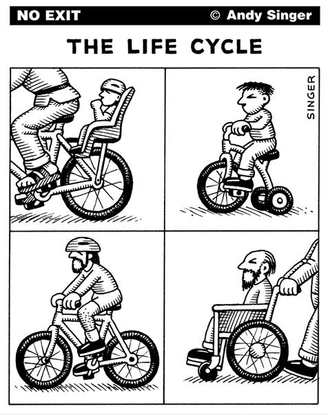 Das Life Cycle