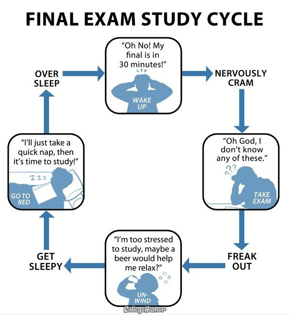 Final Exam Study Zyklus