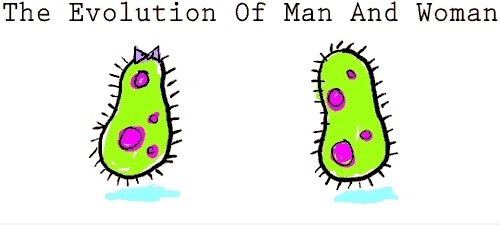 Die Evolution von Mann und Frau