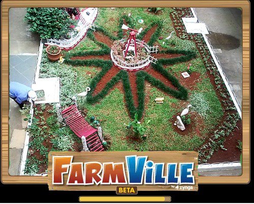 The Real Farmville 2