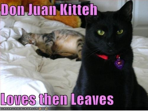 Don Juan Kitteh!