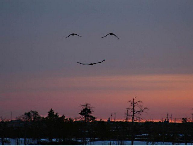 Smile in the Sky!