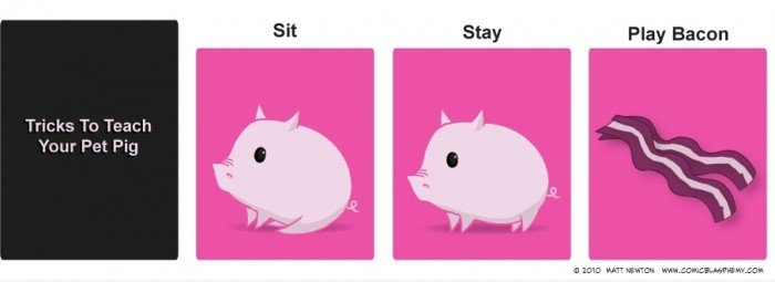 Tricks, um Ihr Haustier Pig Teach