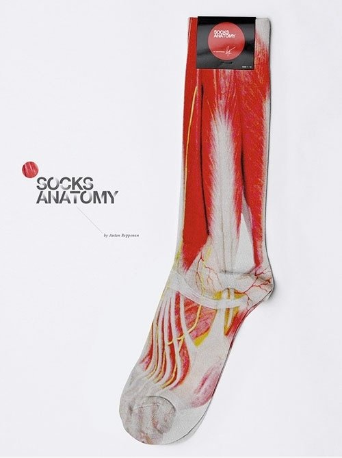 Socks Anatomy