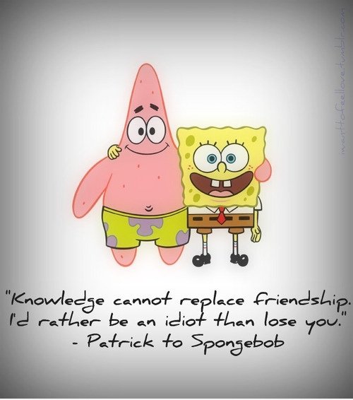 Wissen kann nicht ersetzen Freundschaft