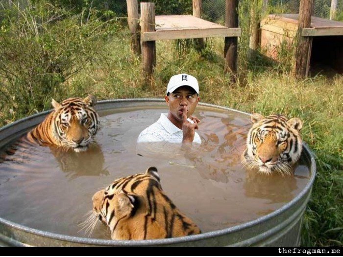Tiger ist dort sicherer als mit seiner Frau