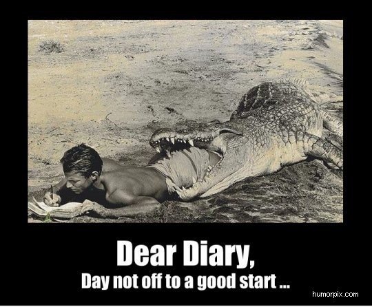 Dear Diary ...