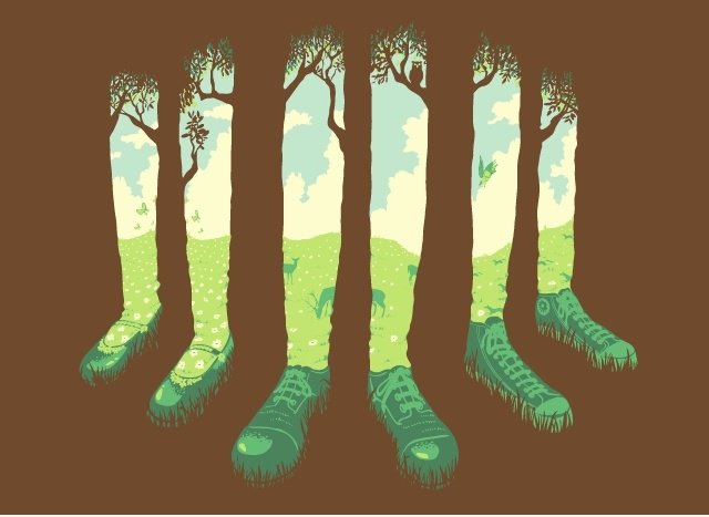 Kann nicht sehen den Wald, sondern für die Socken