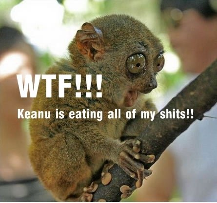 WTF! Keanu isst alle meine s ** ts!