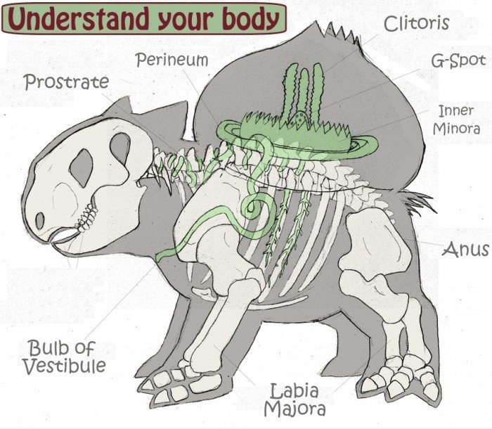 Verstehen Sie Ihren Körper
