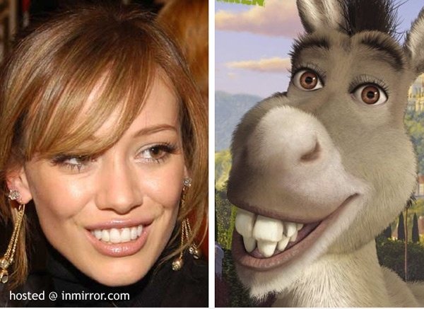 Hilary Duff vs Donkey (Verwandte?)