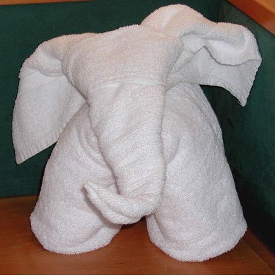 Wie falten ein Handtuch Elefanten