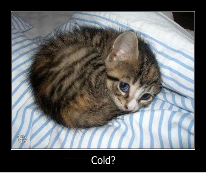 Cold?