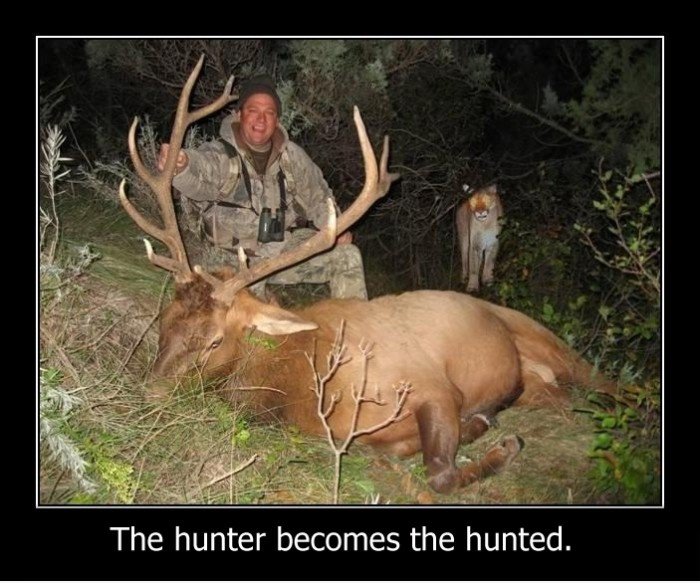 Hunter Becomes Hunted