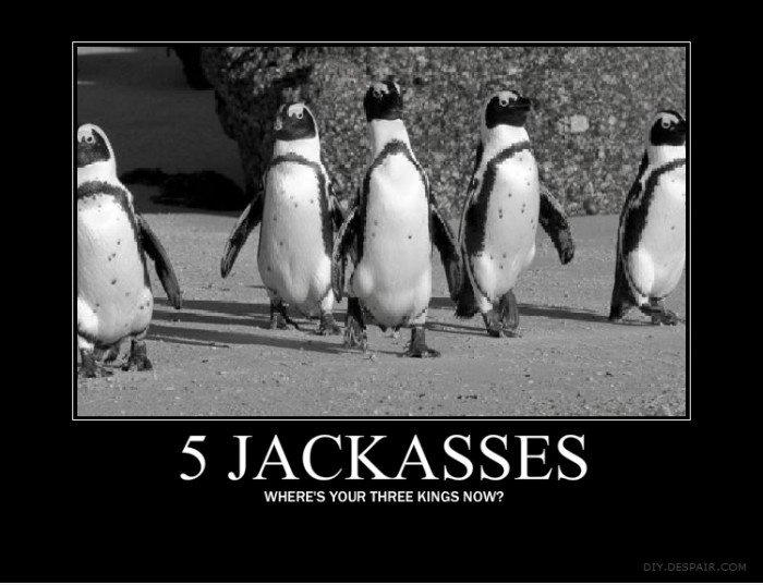 5 jackasses