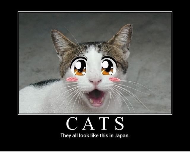 Japanische Katzen