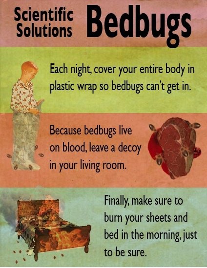 How Do You Get Rid of Bedbugs?