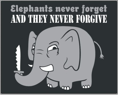 Elefanten vergessen nie ...