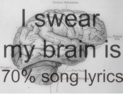 Mein Gehirn ist 70% Song Lyrics.