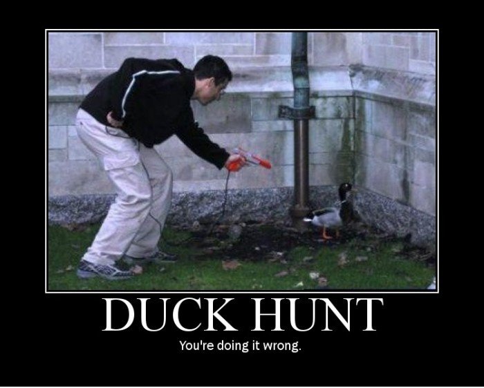 DuckHunt