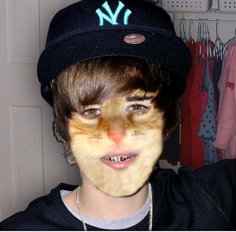 Justin Bieber ist Katze Mann