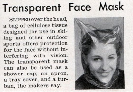 Transparent Face Mask