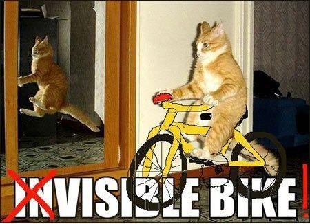 Visible Bike