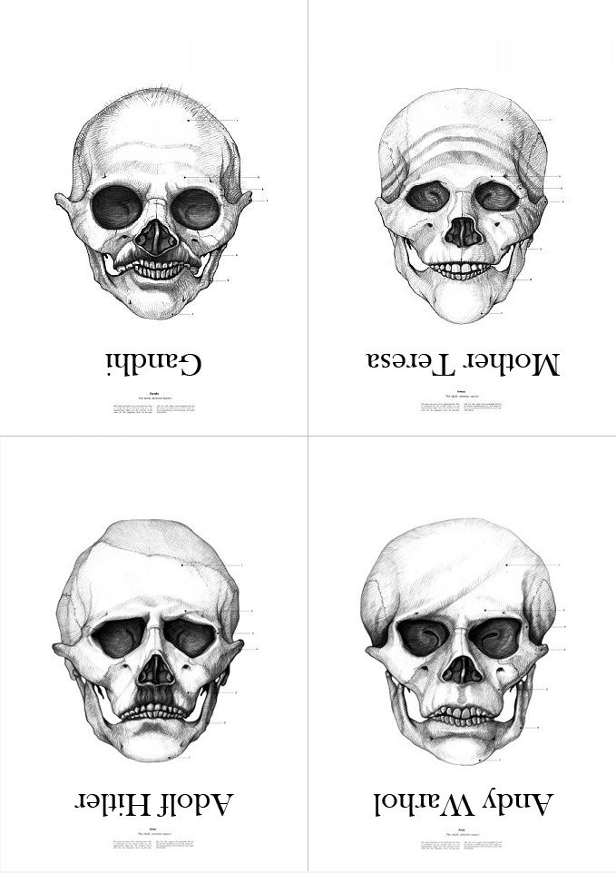 Vier Berühmte Skulls
