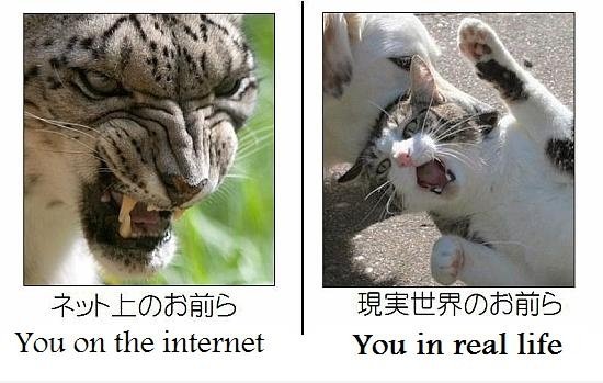 Internet Sie vs Real You