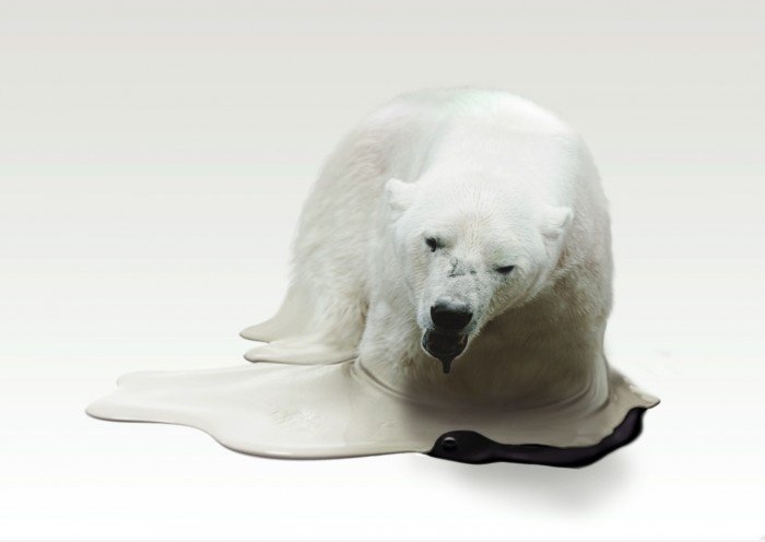 Global Warming: Eisbär