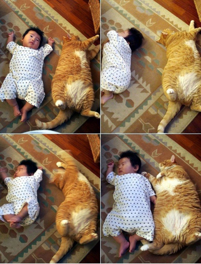 Cat und Baby