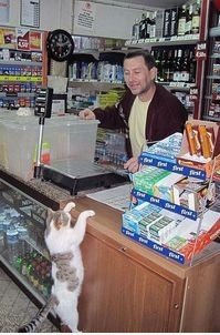 Cat in Einkaufszentren