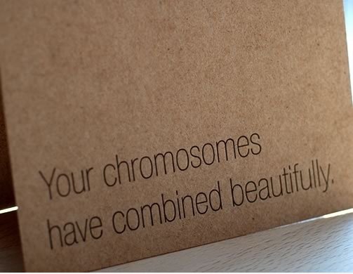 Ihre Chromosomen haben schön kombiniert.