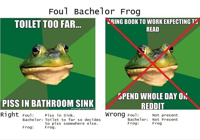 Foul Bachelor Frog 101.