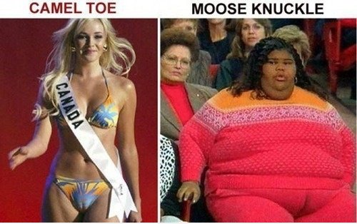 Camel Toe VS Moose Knuckle