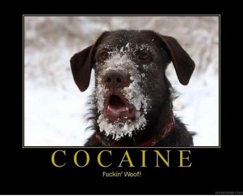 Cocaine!